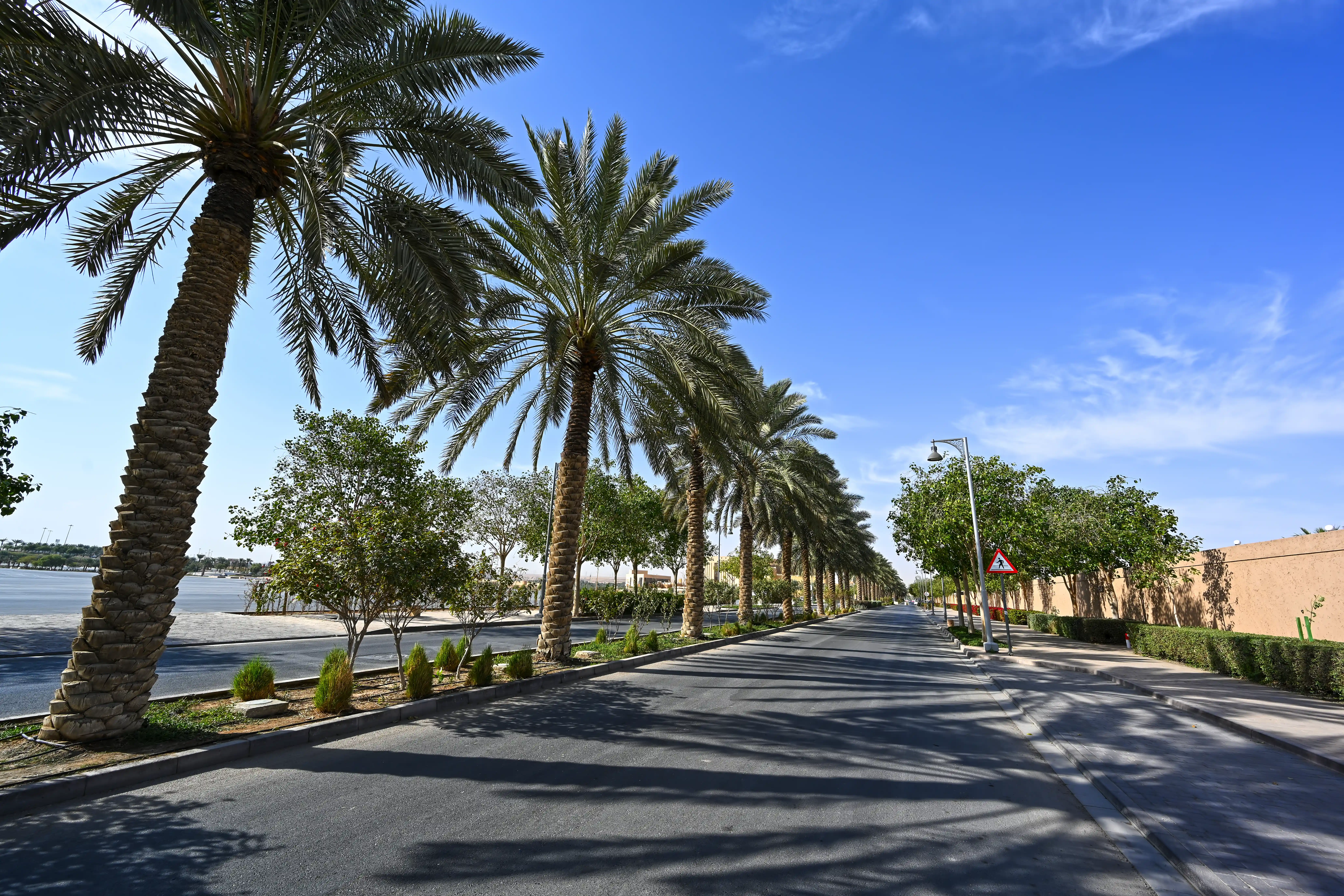 Landscaping & Irrigation